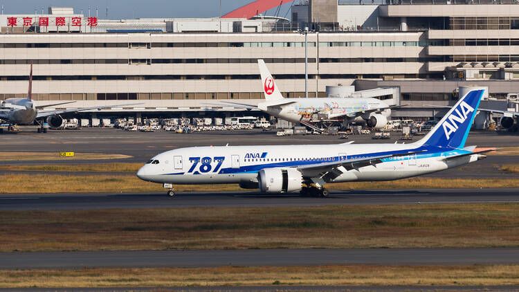 Hàng không Nhật Bản Hàng không Nhật Bản