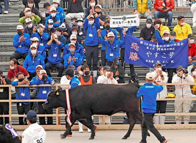 đội cổ vũ của tỉnh Kagoshima