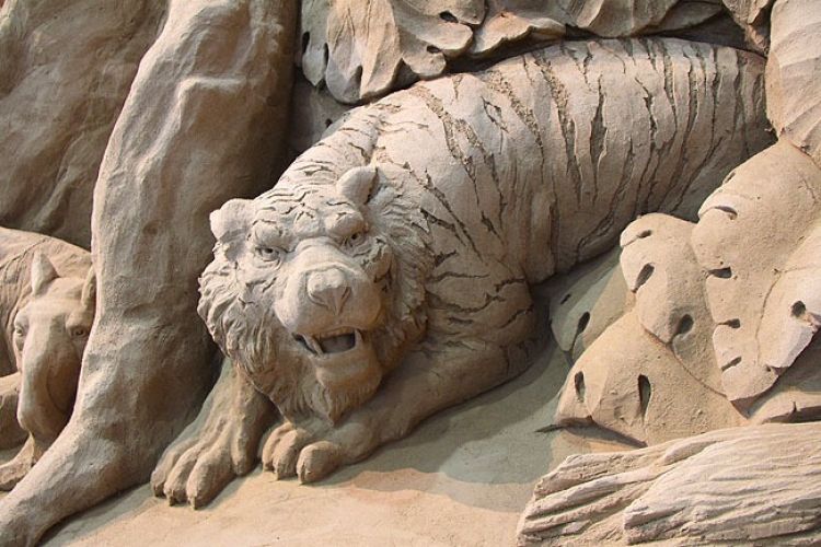 hổ rừng nhiệt đới