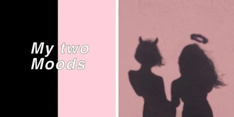 dual kawaii dual kawaii