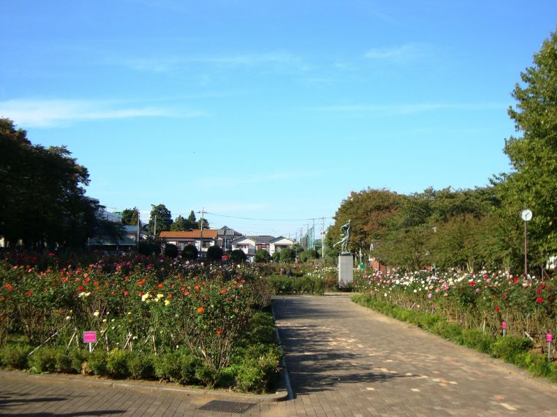 yono park rose garden
