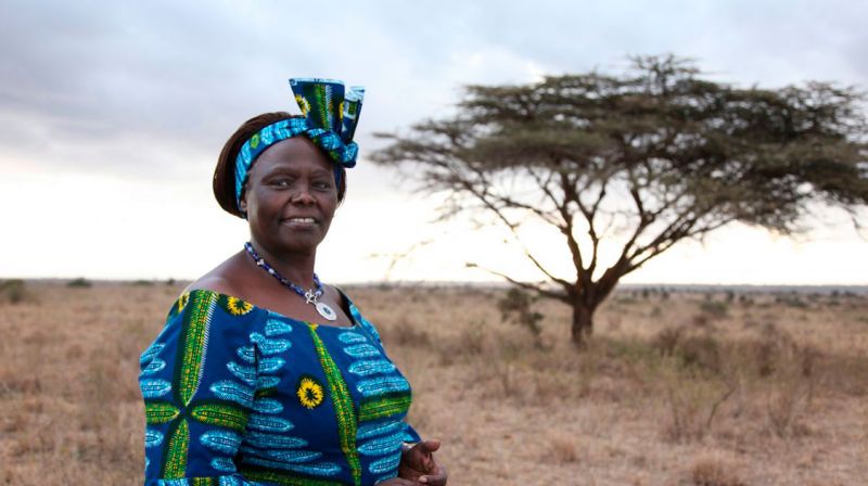 wangari maathai