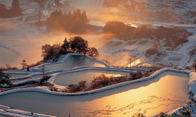 ruộng bậc thang hoshitoge