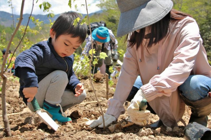 trồng rừng theo phương pháp Miyawaki 1