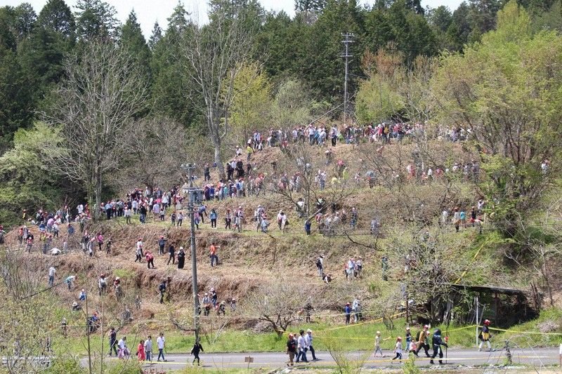 lễ hội lễ hội