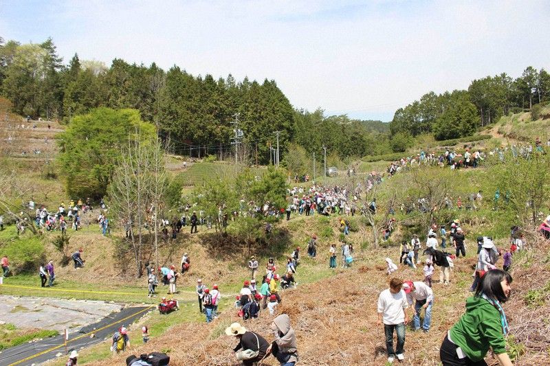 Những người tìm kiếm yokai Những người tìm kiếm yokai