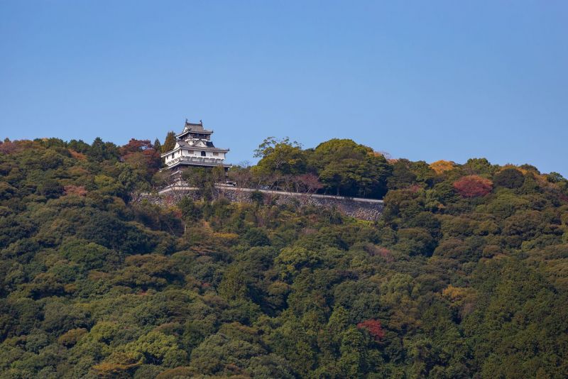 lâu đài iwakuni nhìn từ cầu kintai