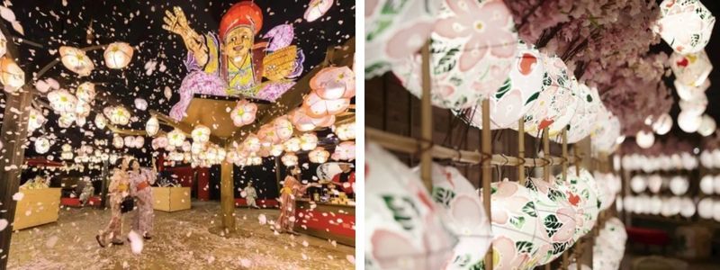 lễ hội hoa lễ hội hoa