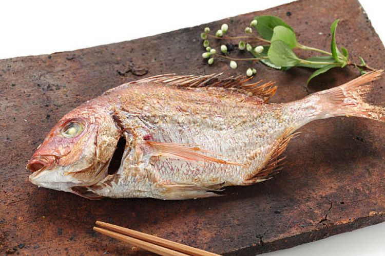 Những loại hải sản nên thử vào mùa xuân ở Nhật Bản