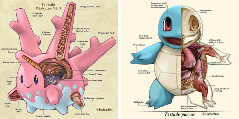 Pokénatomy - Độc đáo với việc giải phẫu Pokémon | KILALA