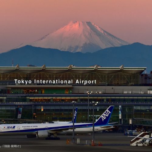 Đến Nhật, chọn Narita hay Haneda?