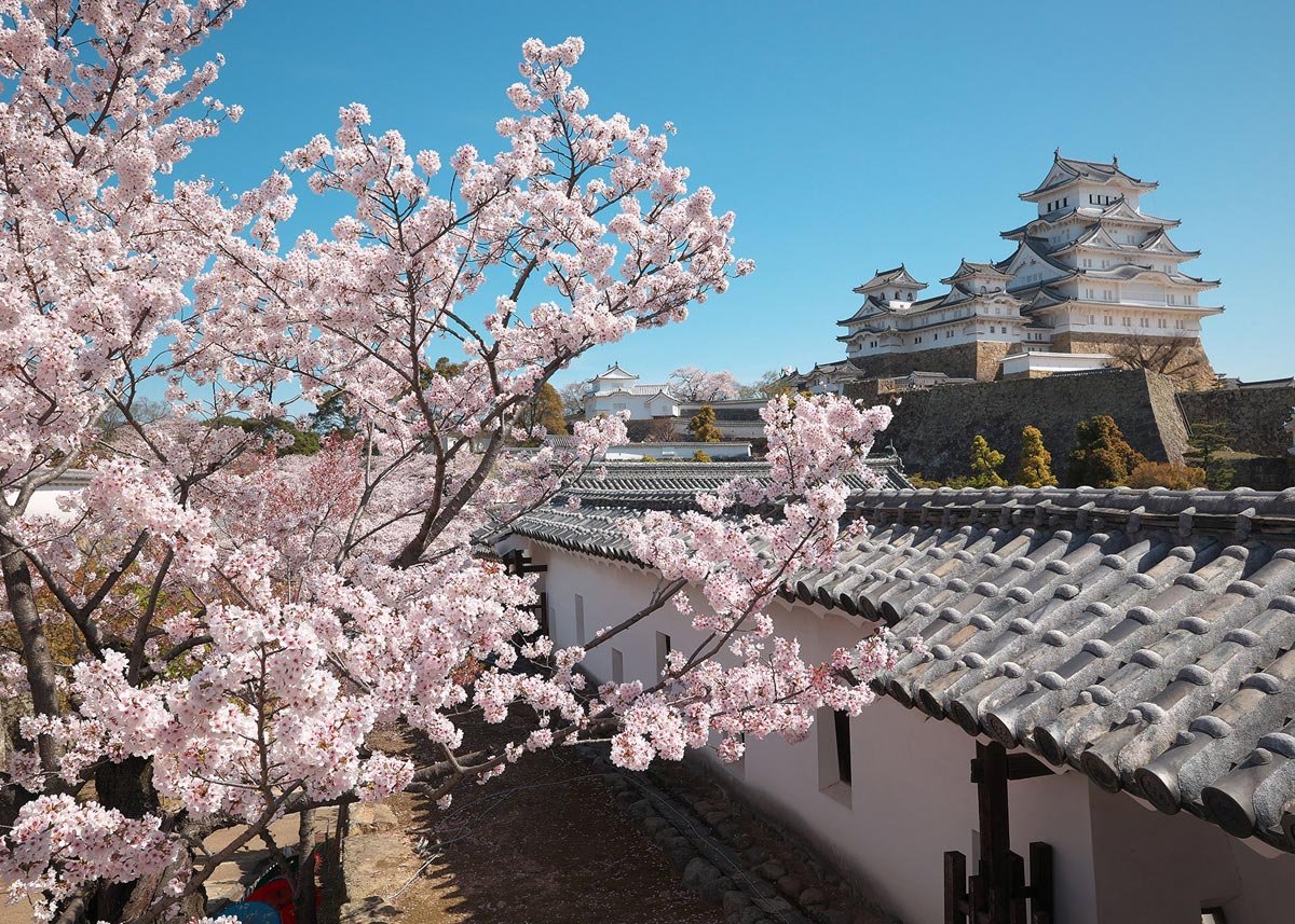 Himeji-Castle-hoa-anh-dao Himeji-Castle-hoa-anh-dao