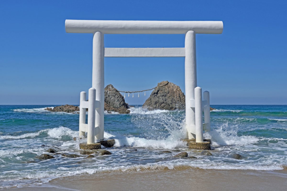 torii-trang torii-trang