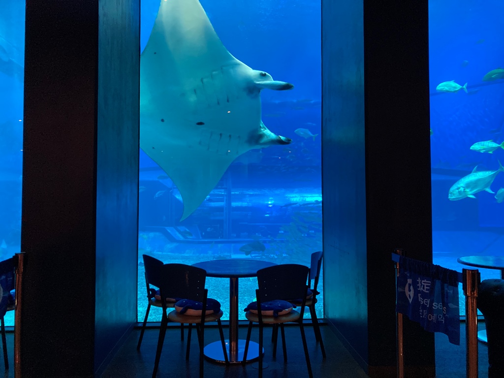 Ocean Blue Cafe ocean-blue-cafe