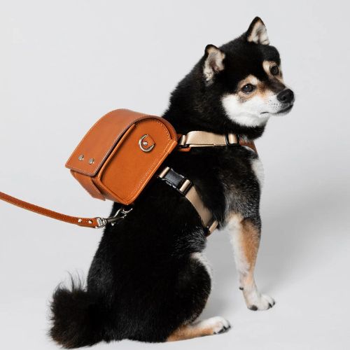 Balo randoseru dành cho cún gây sốt nhờ Shohei Ohtani