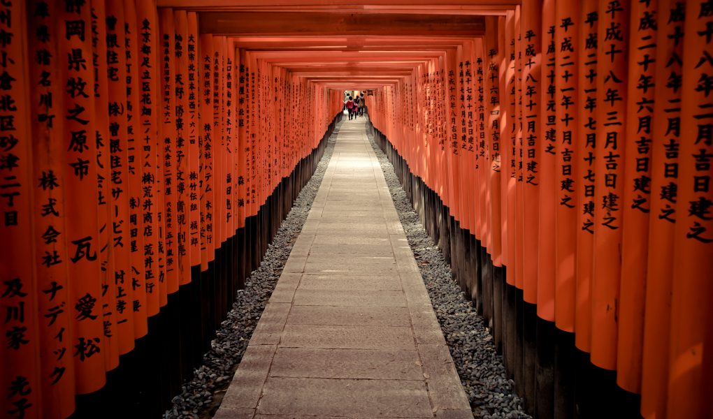 torii torii