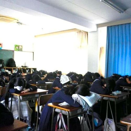 Giờ "ngủ gật" đặc biệt tại trường học Nhật Bản