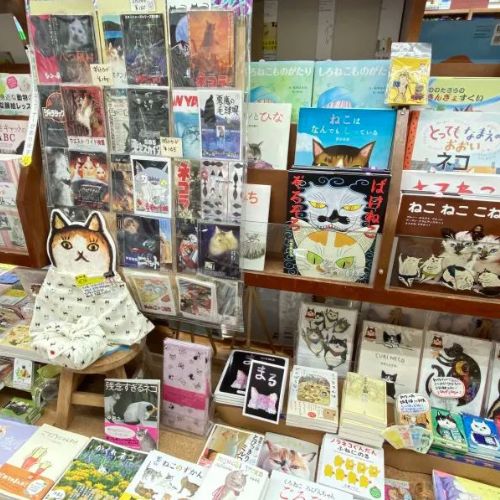 “Văn học mèo” của các tác giả Nhật Bản được yêu thích tại nước ngoài