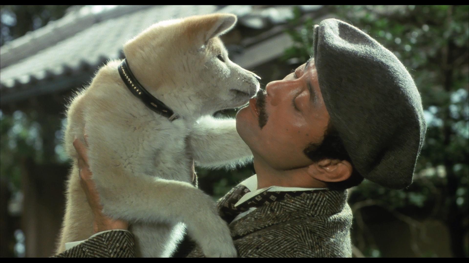 hachiko monogatari hachiko-monogatari