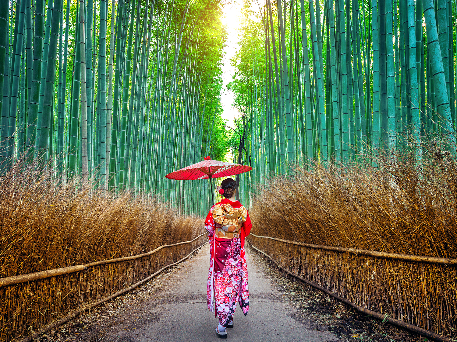 kyoto kyoto