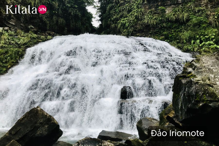 iriomote