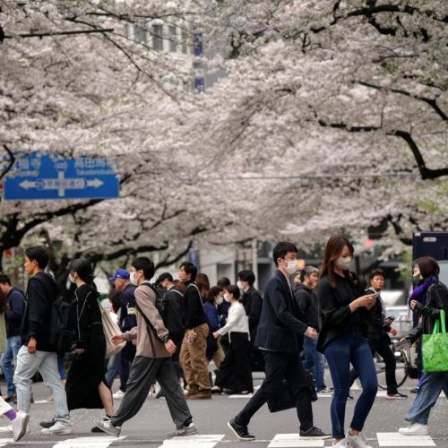 Vi khuẩn "ăn thịt người" tấn công Nhật Bản