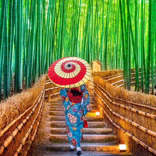 Khám phá những rừng tre xanh mướt ở Nhật Bản