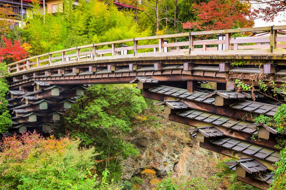 yamanashi-saruhashi