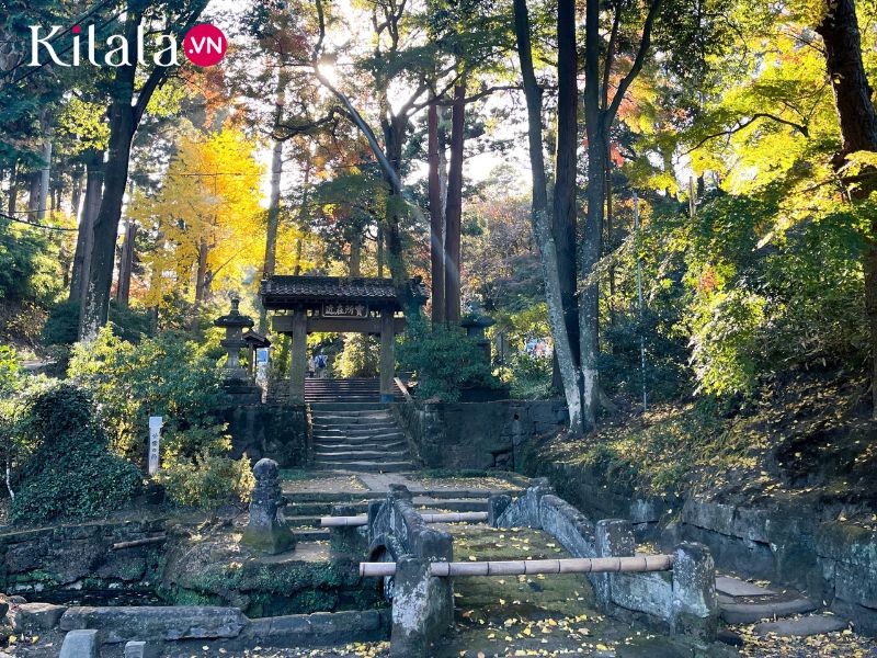 chua-jochiji-kanagawa chua-jochiji-kanagawa