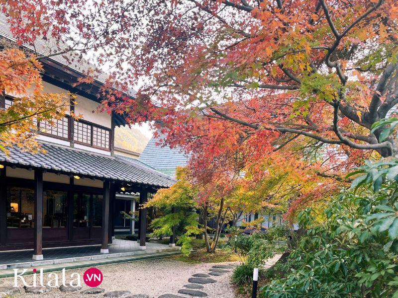 kamaboko-village kamaboko-village