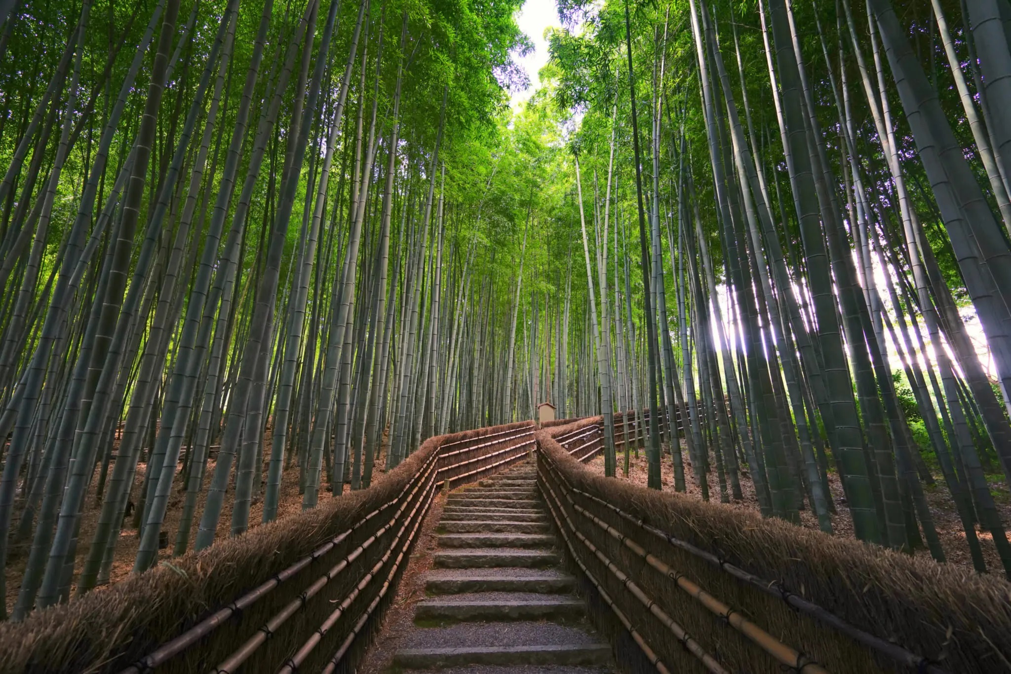 Rừng tre Chùa Adashino Nenbutsu rung-tre-chua-adashino-nenbutsu