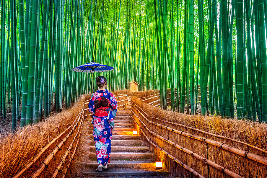 Rừng tre Arashiyama rung-tre-arashiyama