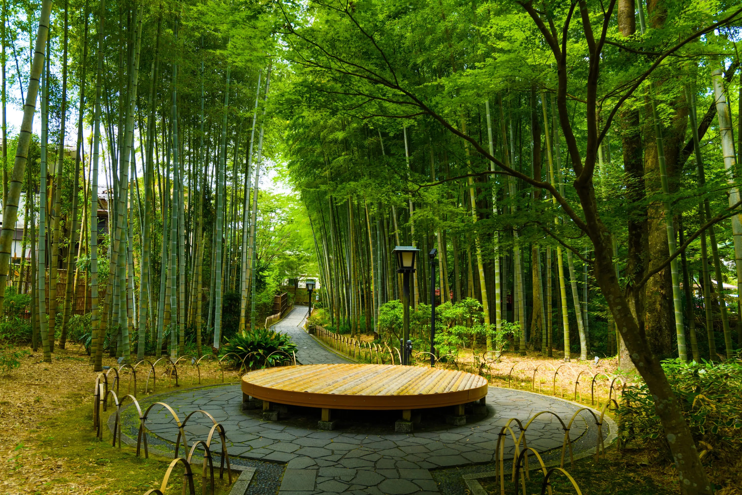 Con đường xuyên rừng tre Chikurin no Komichi con-duong-xuyen-rung-tre-chikurin-no-komichi