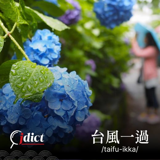 Taifu ikka: Sau cơn mưa trời lại sáng