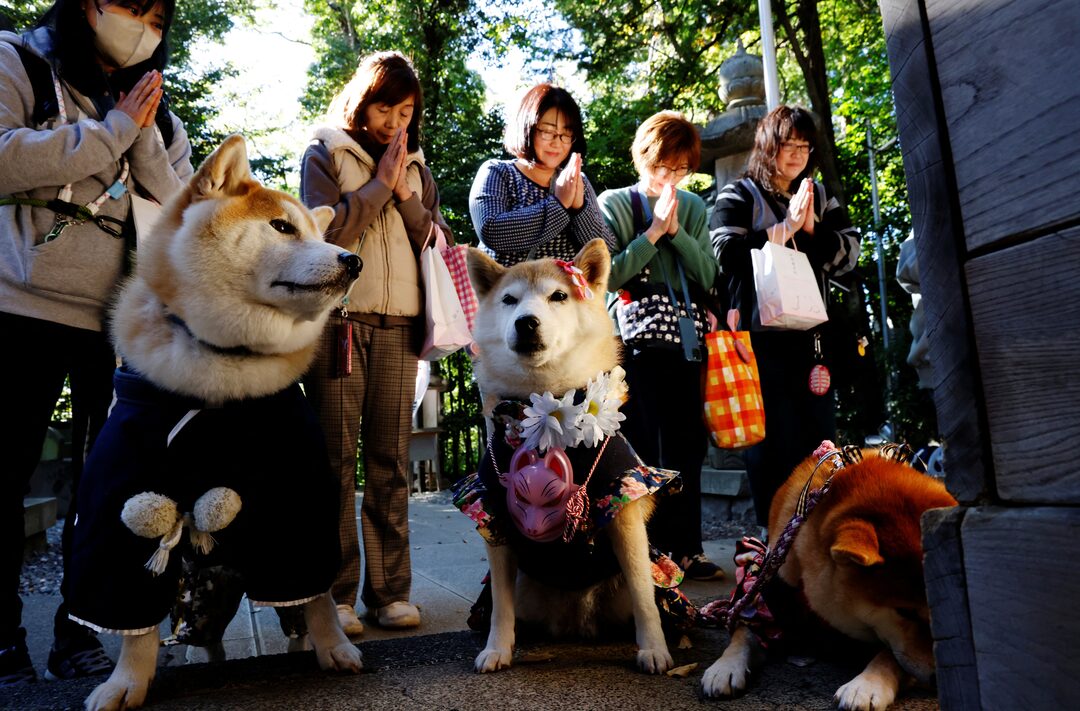 shichi-go-san shichi-go-san