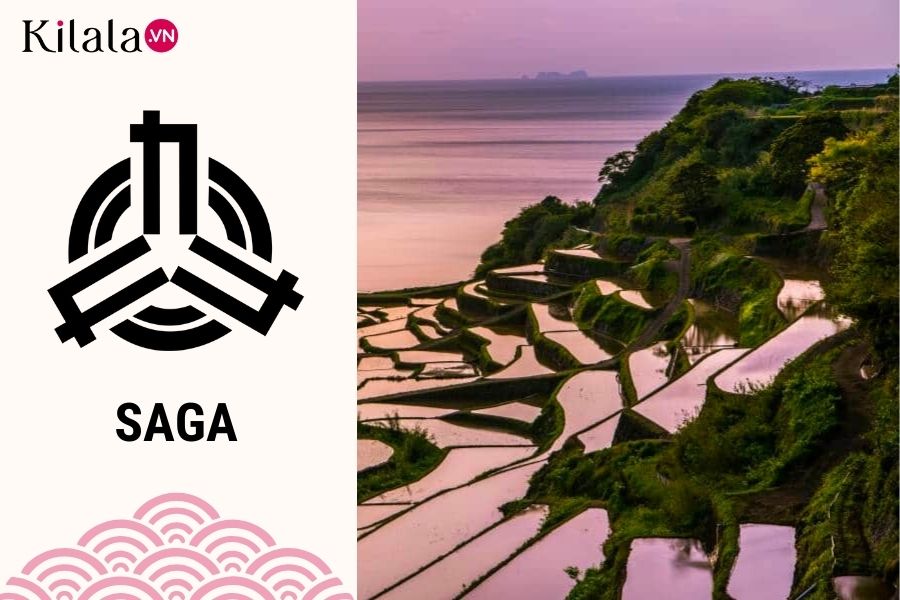 Saga saga