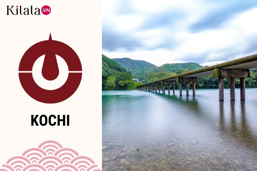 Kochi kochi