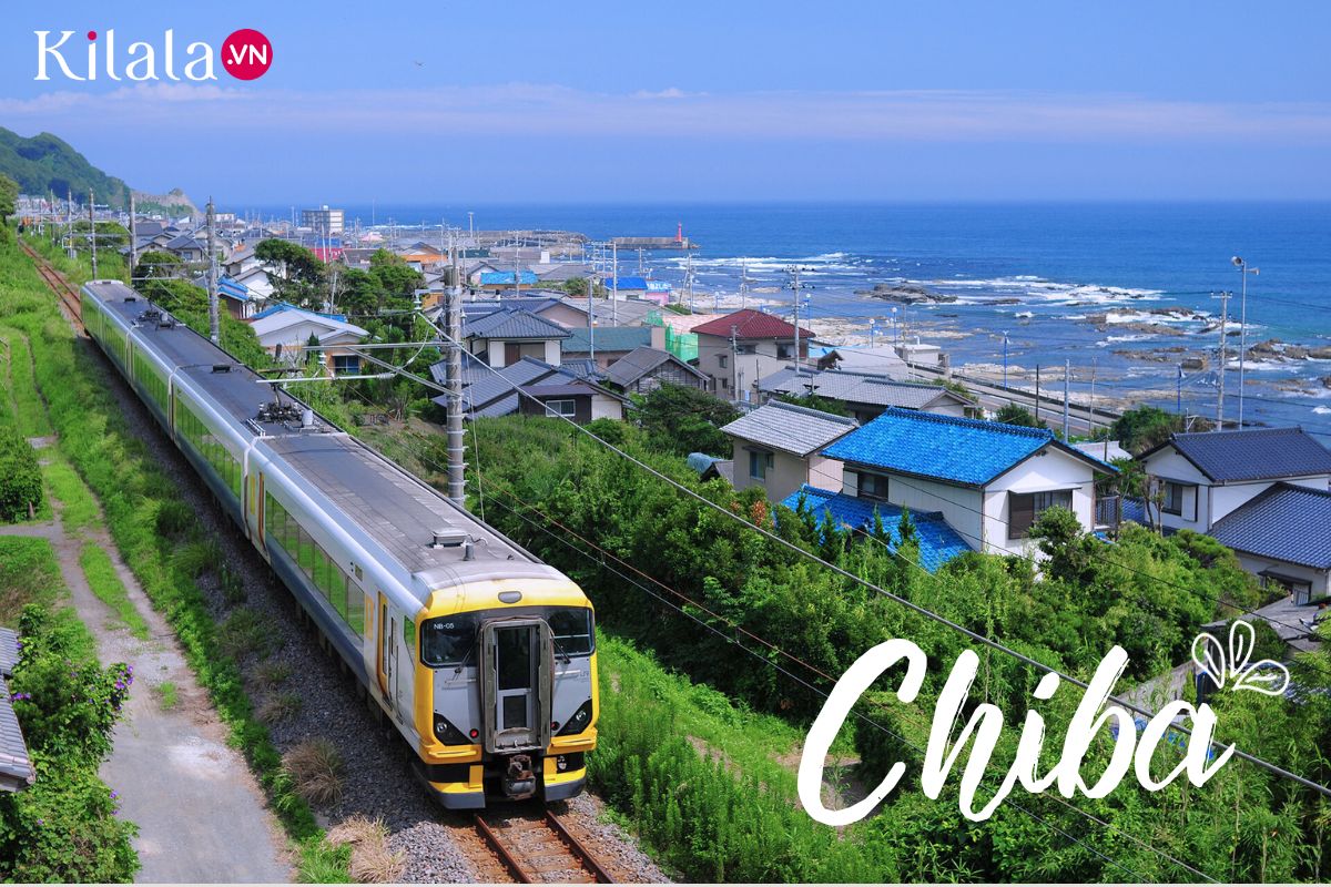 tỉnh chiba tinh-chiba