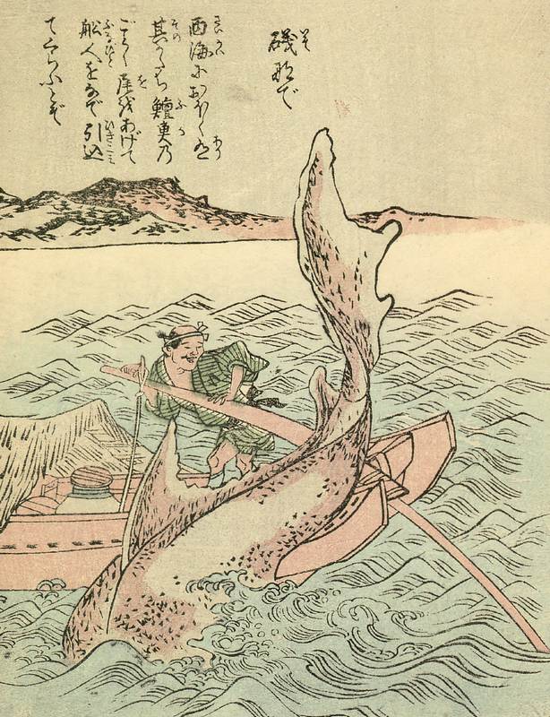 Nagasaki <span>–</span> Isonade isonade-nagasaki