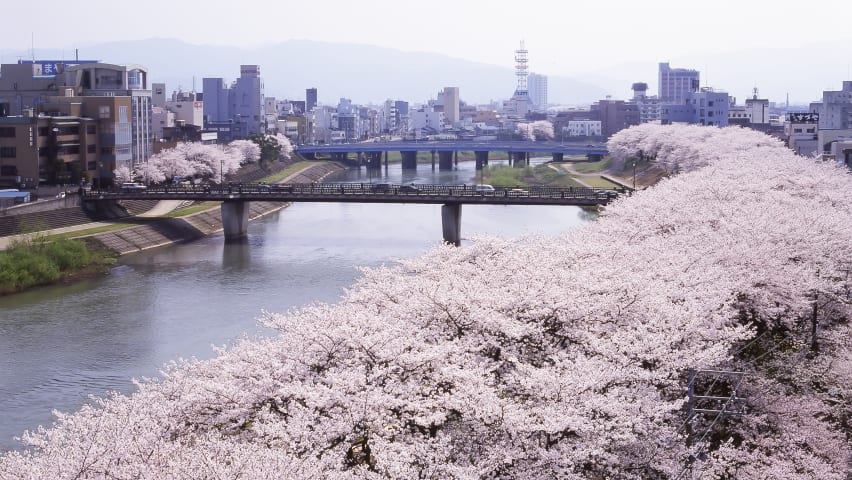 fukui