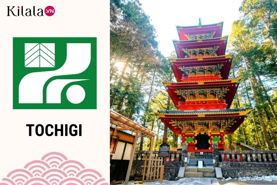 tochigi tochigi1