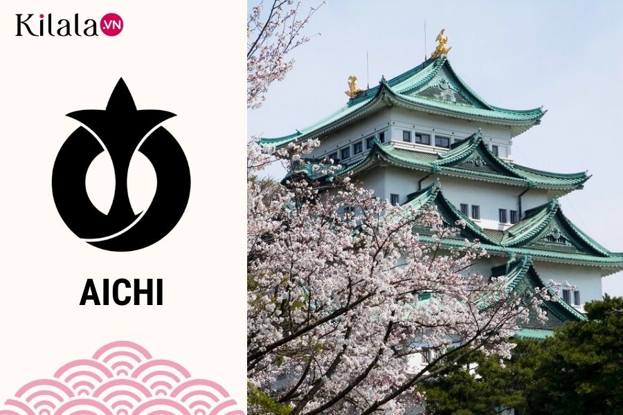aichi aichi1