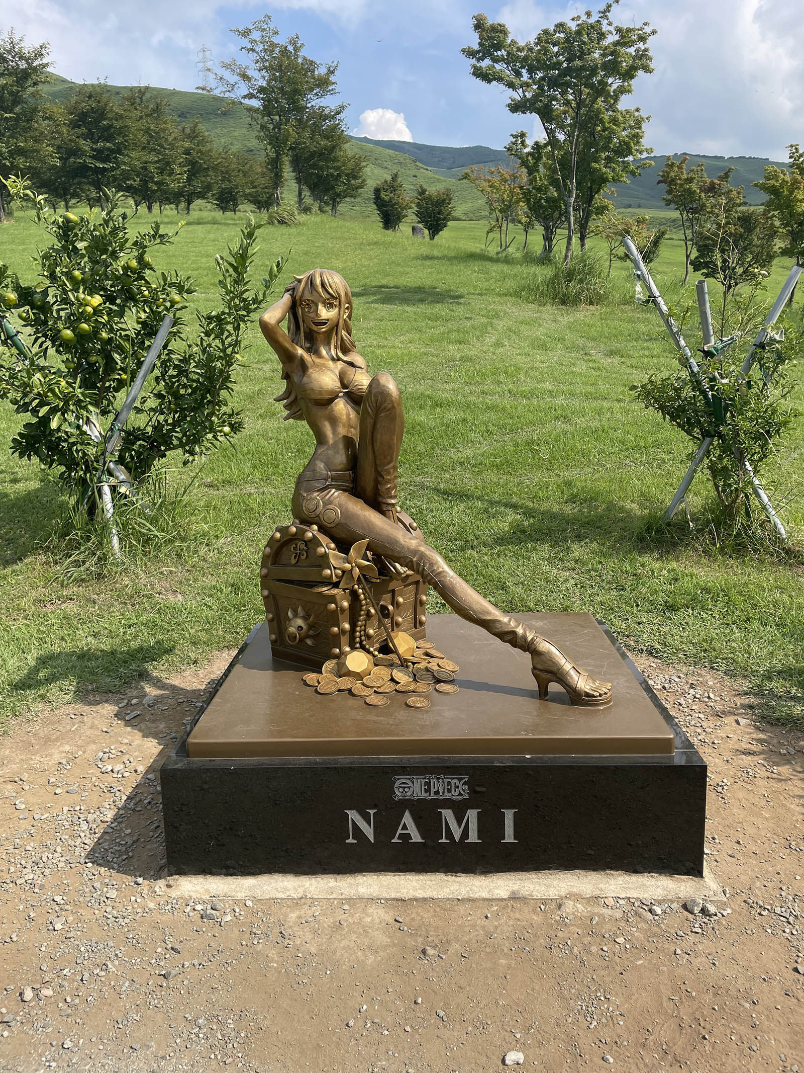 Nami Nami