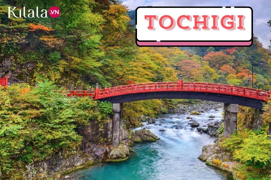 Tổng quan về Tochigi tinh-tochigi