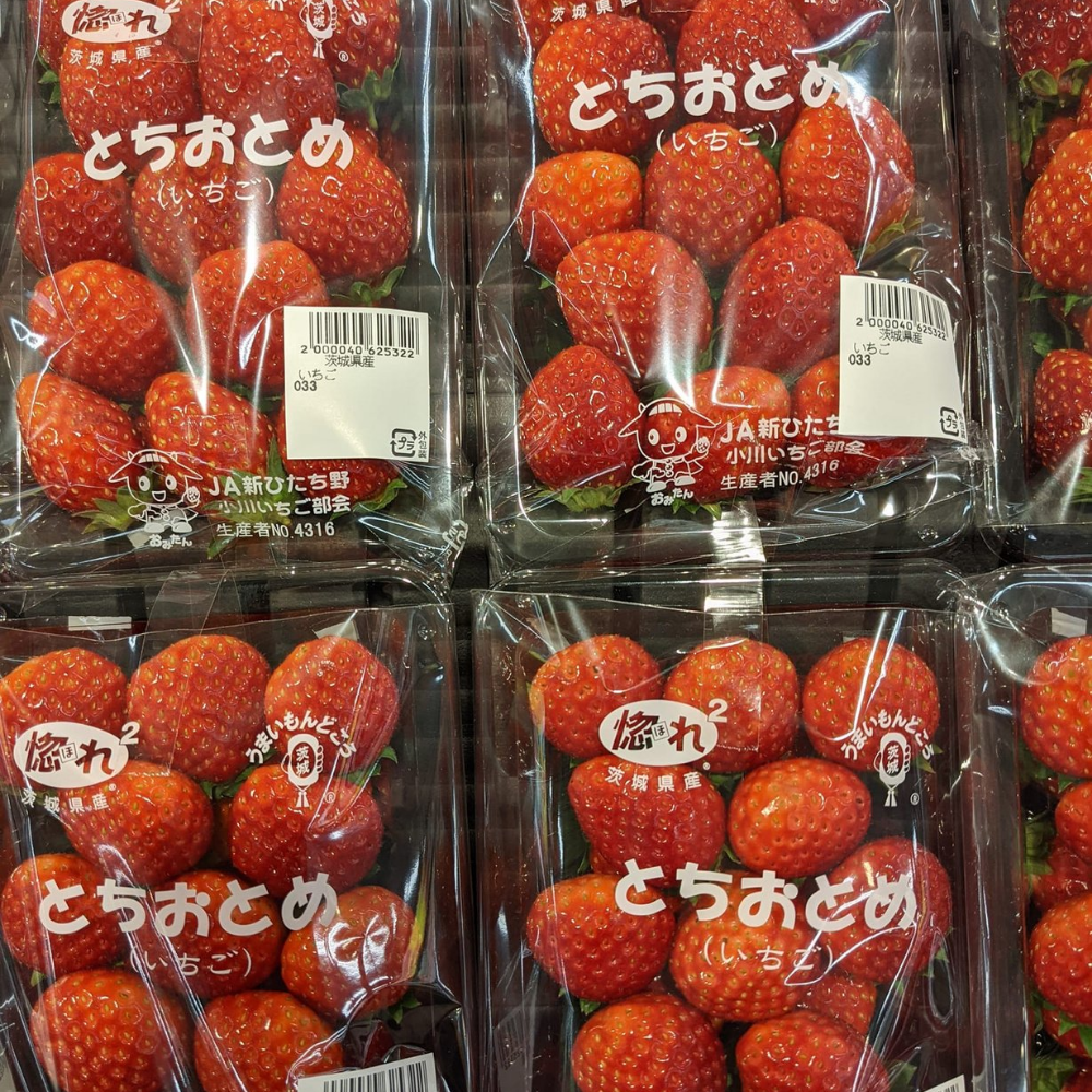 Dâu Tochiotome dau-tochiotome