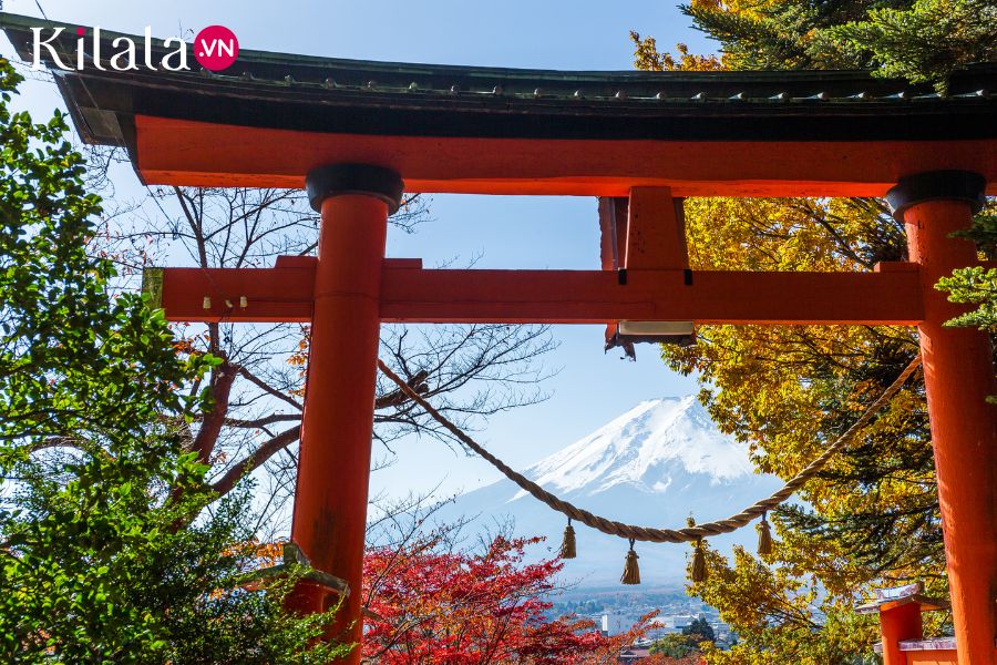 torii torii