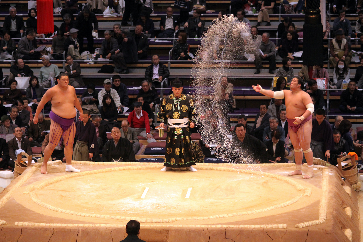 sumo sumo