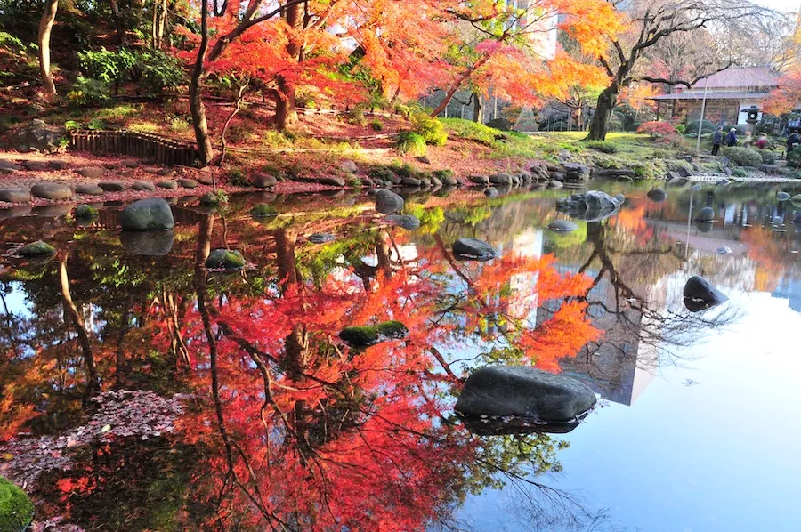 Koishikawa Korakuen koishikawa-korakuen
