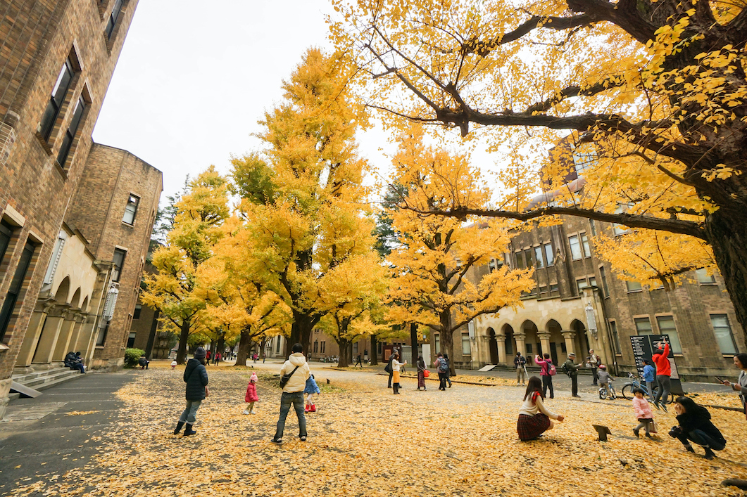 Cơ sở Hongo của Đại học Tokyo co-so-hongo-cua-dai-hoc-tokyo