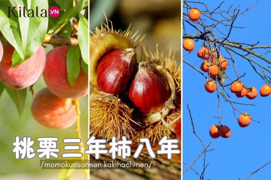 Momokurisannen kakihachinen: Trồng đào, hạt dẻ ba năm, trồng hồng tám năm momokurikaki